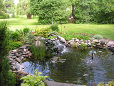 a water feature